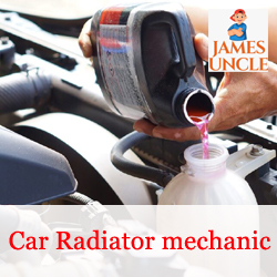 Car Radiator mechanic Mr. Shreekanta Das in Kandi